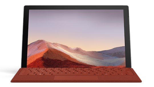 隆回Surface Go